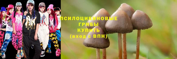 бутират Переславль-Залесский