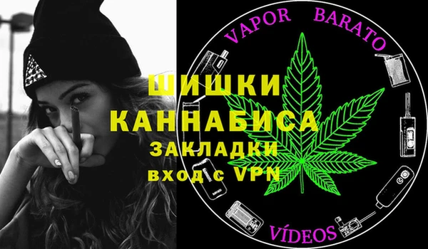 винт Бикин
