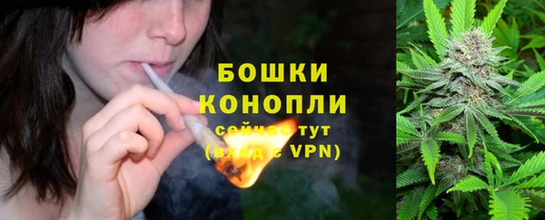 сатива Видное