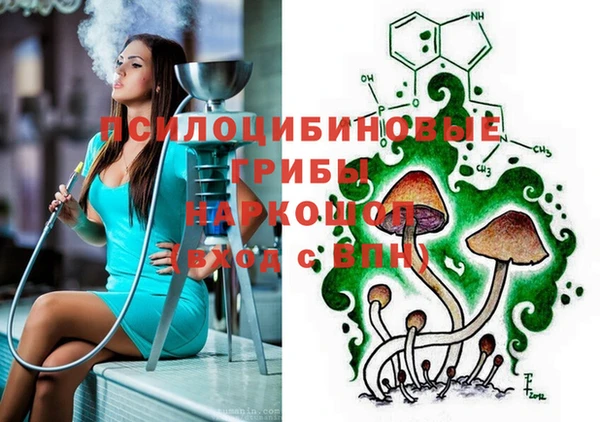 меф Осинники